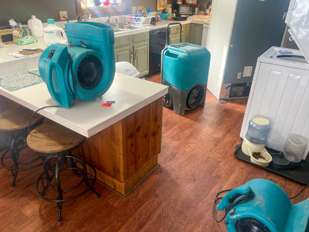 Best Commercial water damage restoration  in Orangetree, FL
