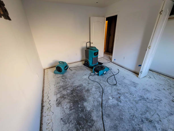  Orangetree, FL Water damage restoration Pros