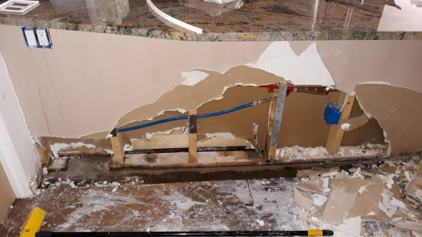 Best Flood damage cleanup  in Orangetree, FL