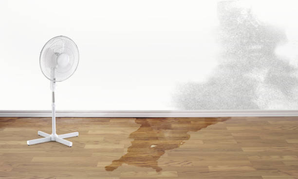 Best Sewage cleanup and water damage restoration  in Orangetree, FL