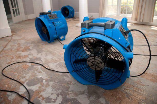 Best Carpet water damage restoration  in Orangetree, FL