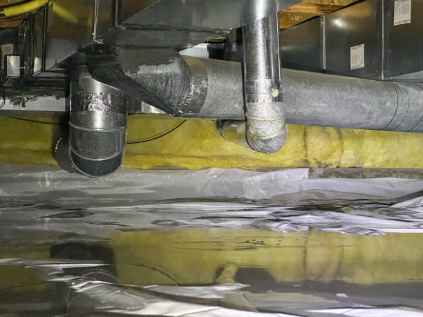 Best Mold removal after water damage  in Orangetree, FL