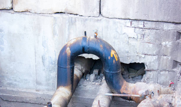 Best 24/7 water damage repair  in Orangetree, FL