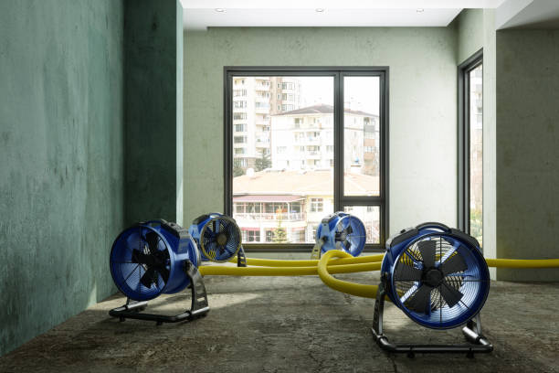 Best Ceiling water damage repair  in Orangetree, FL