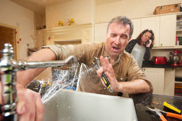 Best Flooded house restoration  in Orangetree, FL